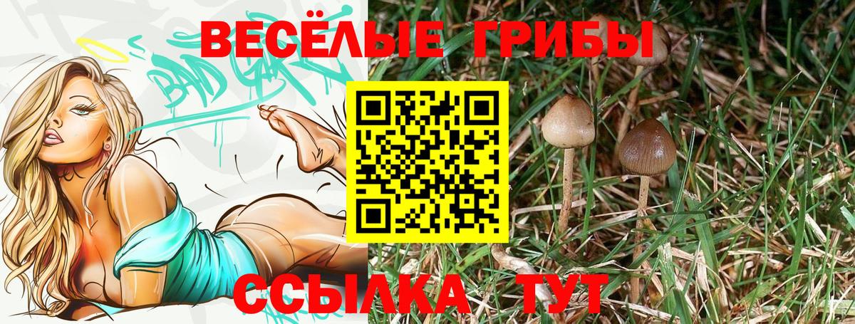 Псилоцибиновые грибы мухоморы  Галлюциногенные грибы мицелий  Вход с VPN  Абакан 
