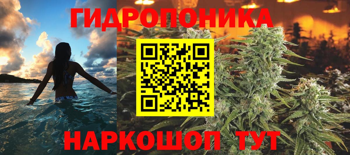 Конопля Amnesia  Канабис сатива  Абакан  Вход с VPN  Конопля гибрид  Бошки марихуана THC 21% 